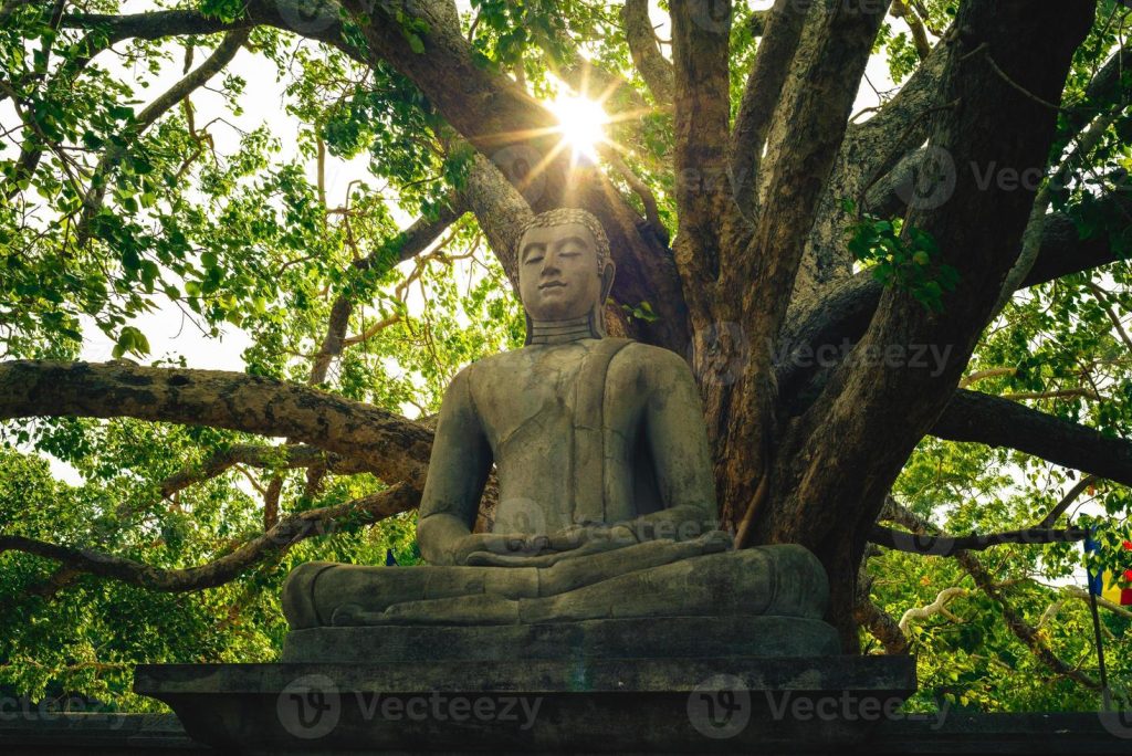 Anuradhapura 3